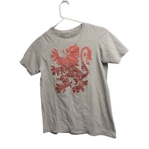 Unisex large Harry Potter gryffindor tee-shirt. Youth, Gray with ombre lion.